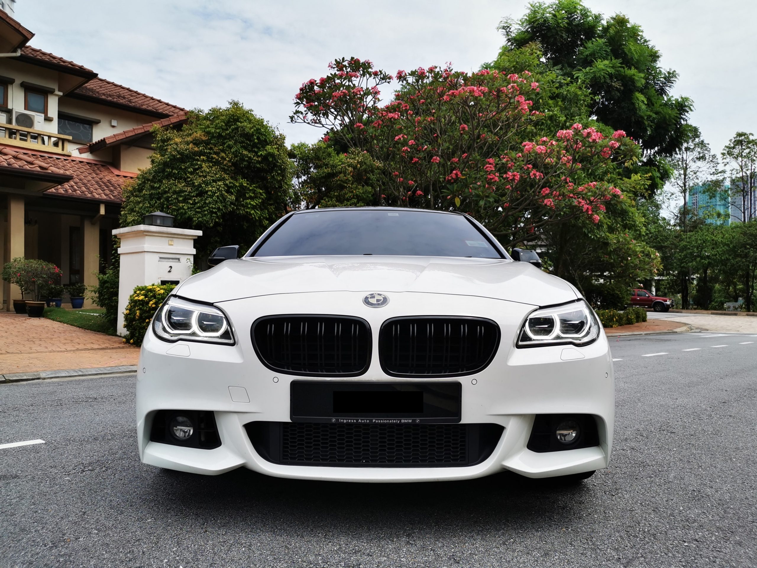 BMW 528i Front view grille