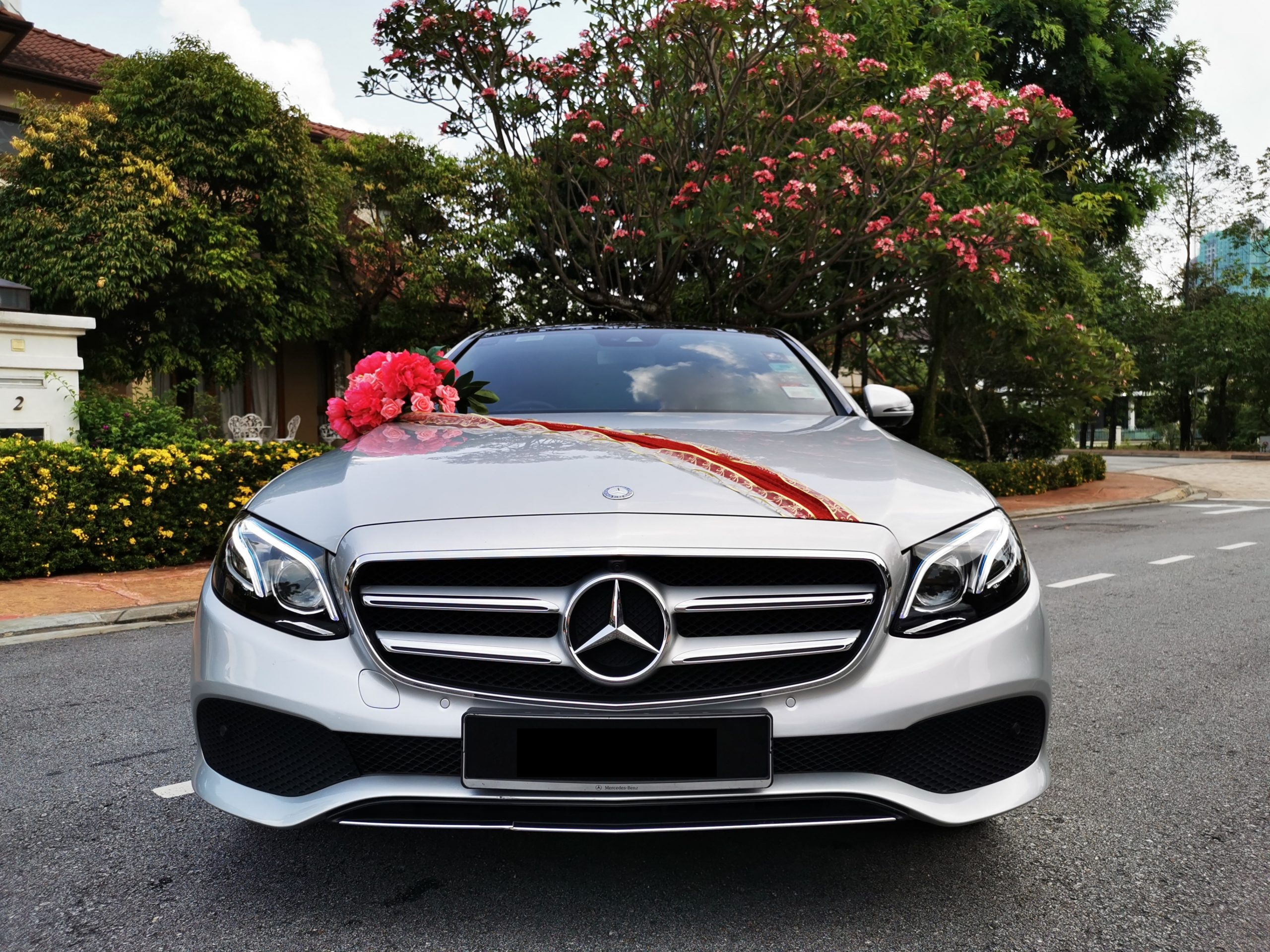 Mercedes E250 Front View