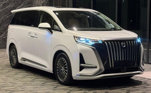 Denza D9 (White)