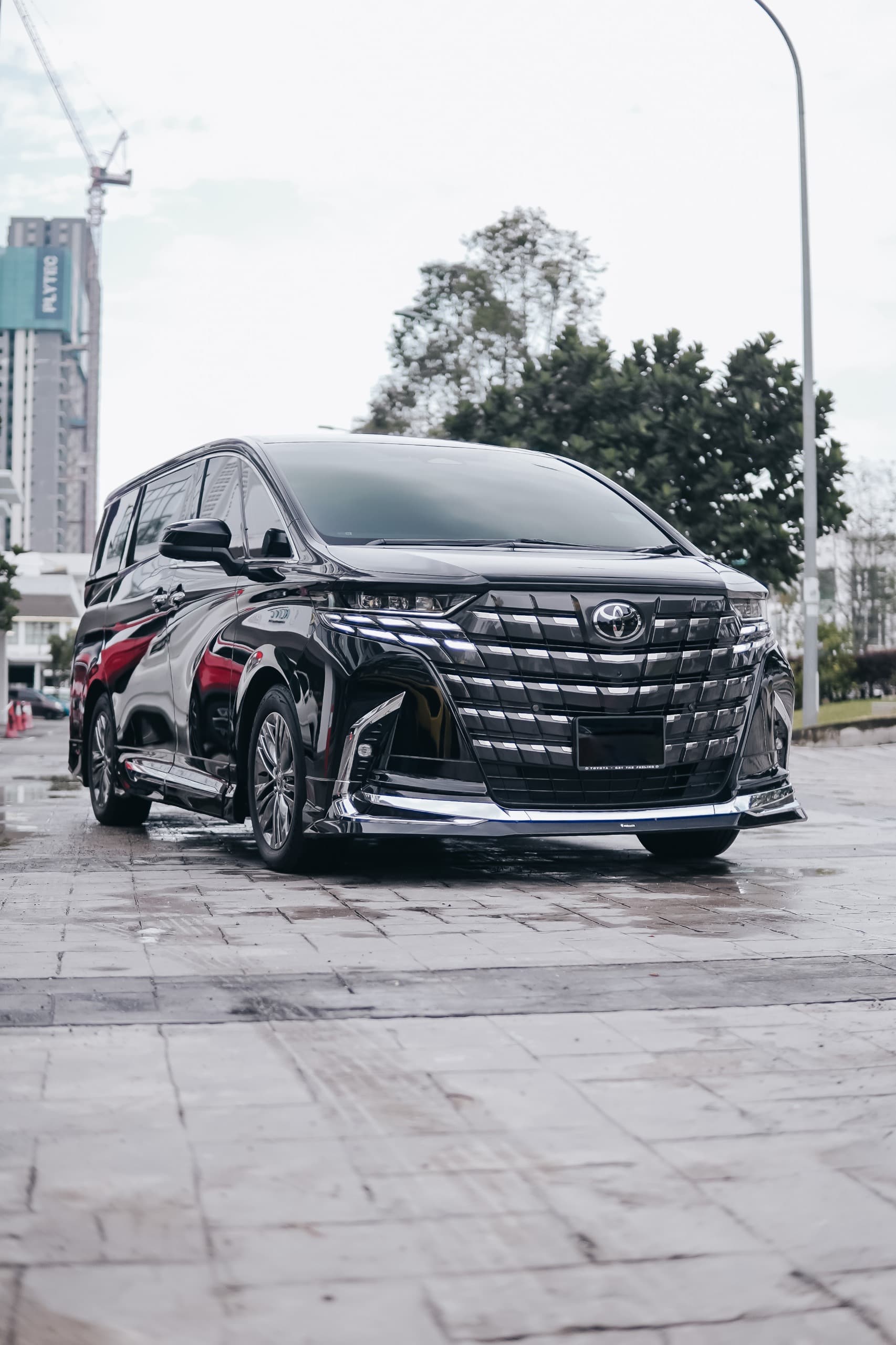 Toyota Alphard AH40 (Black)